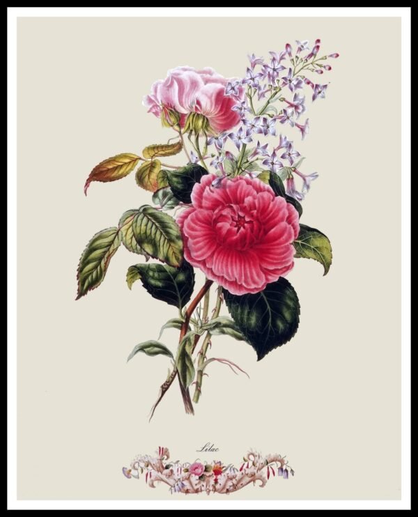 PTR JA05 Lilac (Antique Prints)